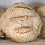 PANE